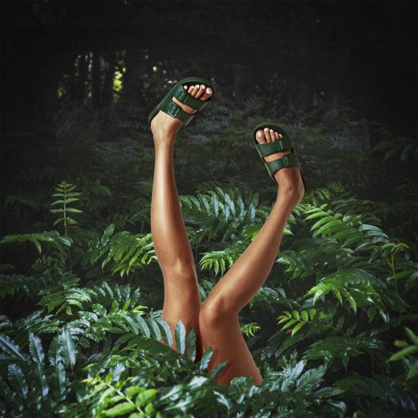 Amazonia