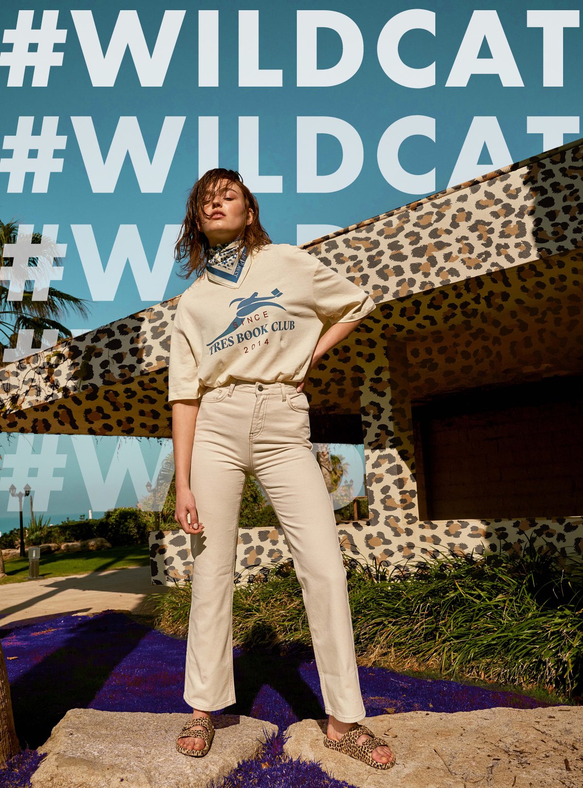 wildcat slides